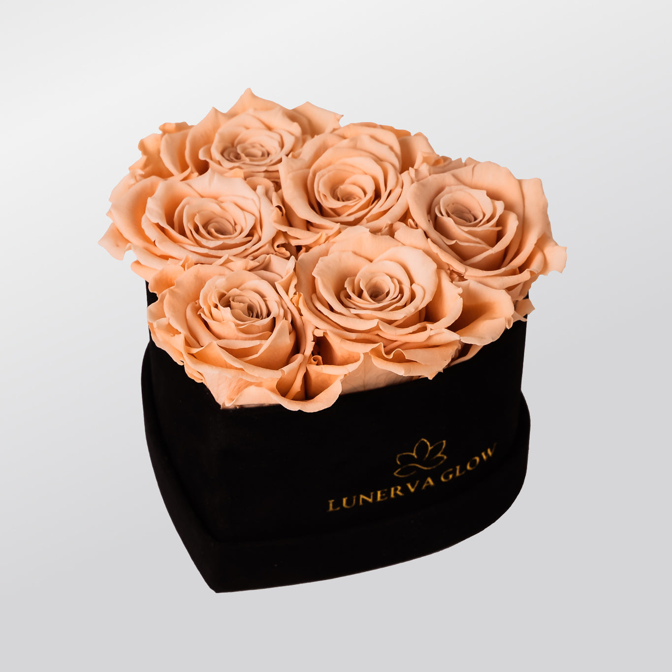 Beige ewige Rosen in Herzbox aus Samt - LUNERVA GLOW