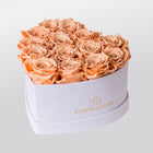 White Velvet Heartbox |Peach|M
