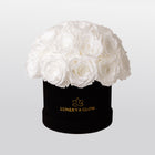 Black Velvet Mushroom |White|S