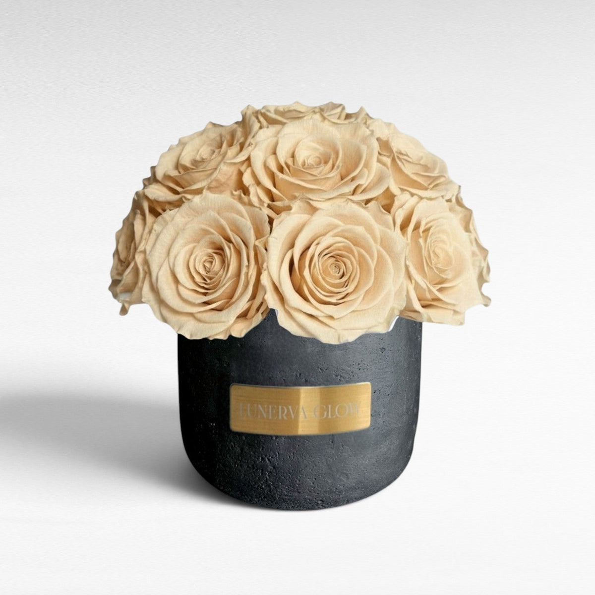 Black Solid Beton Vase XS|White