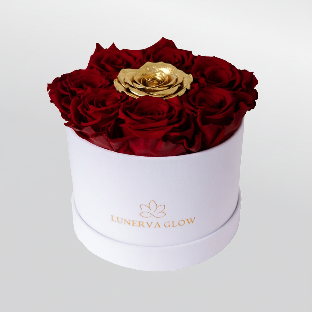 Black Velvet Round Flowerbox Mix