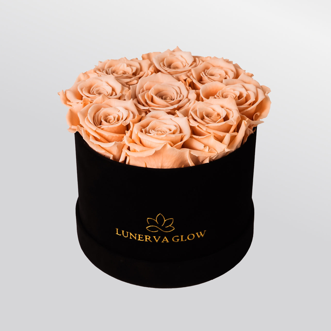 Black Velvet Flowerbox |White|S