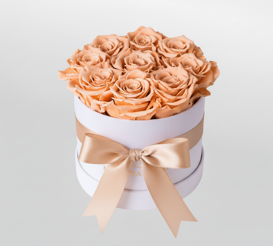 Infinity Blumenbox aus Samt mit ewigen Rosen in Peach | LUNERVA GLOW 