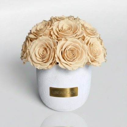 White Solid Vase | White