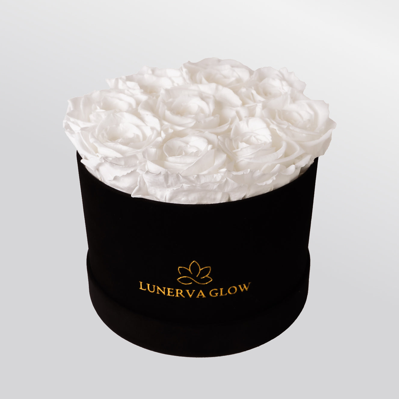 Schwarze Infinity Blumenbox aus Samt | LUNERVA GLOW 