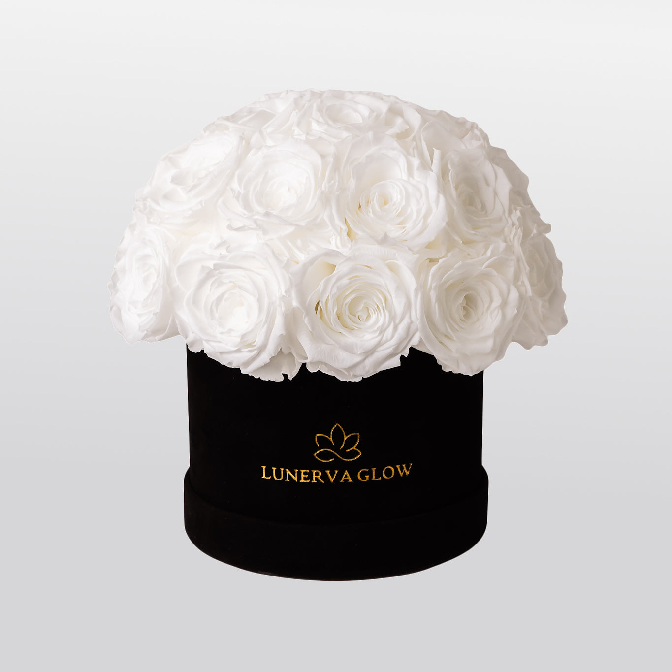 Weiße Infinity Rosenbox Kuppelförmig mit weißen Rosen | LUNERVA GLOW 