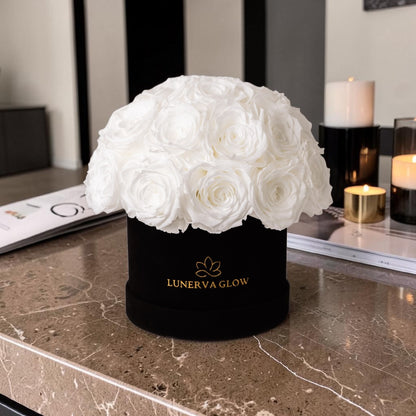 schwarze Infinity Rosenbox mit weissen konservierten Rosen in Kuppelförmigen Arrangement.  Ein Geschenk für die Ewigkeit| Lunerva Glow 