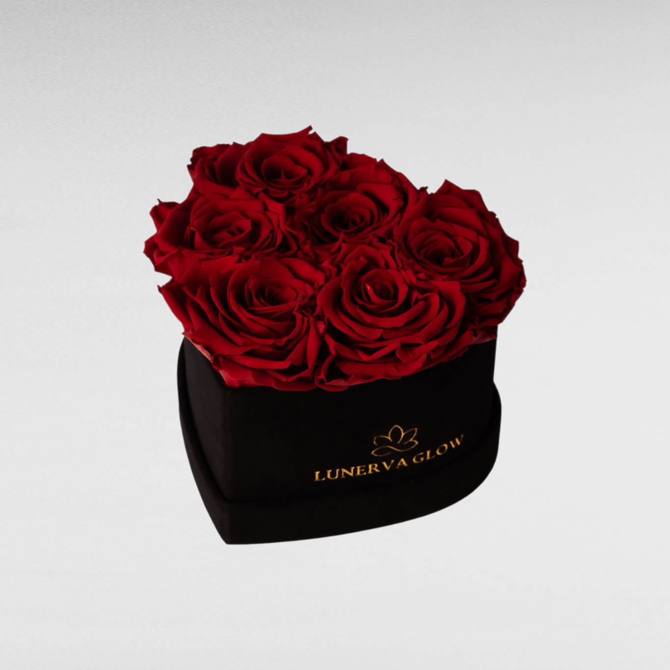 Black Velvet Heartbox |Peach|S
