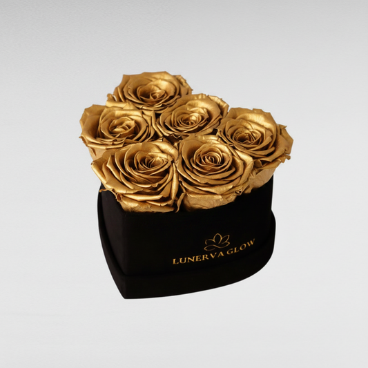 Black Velvet Heartbox |Gold|S