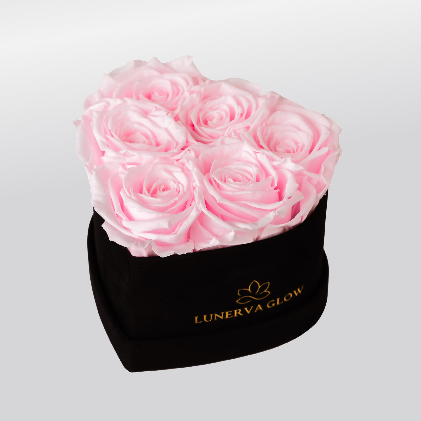 Black Velvet Heartbox |Peach|S