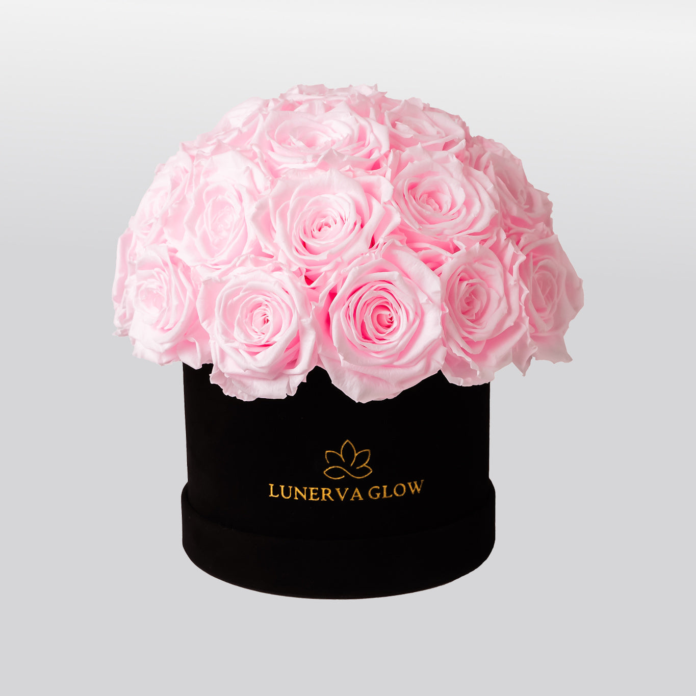 Black Velvet Mushroom |Peach|S
