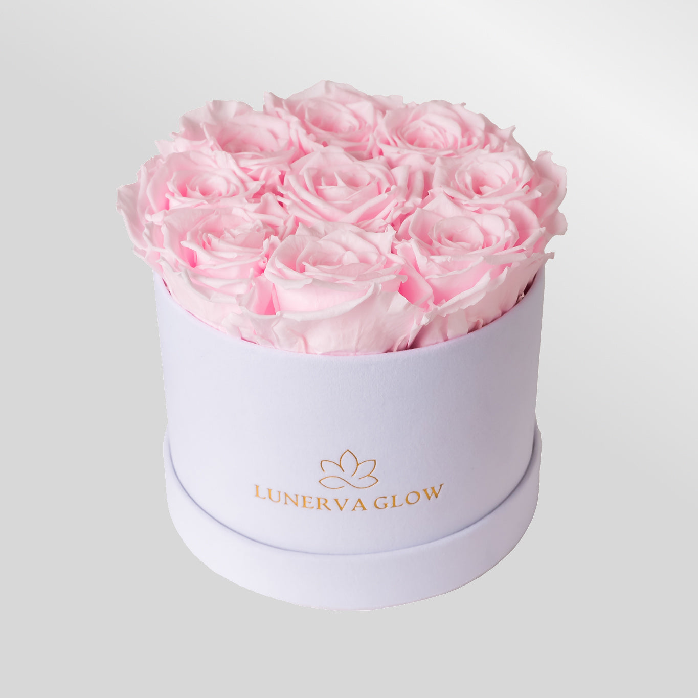 White Velvet Flowerbox |Peach