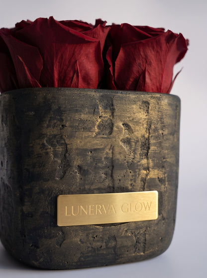 Square Vase Gold/Black| Royal Red