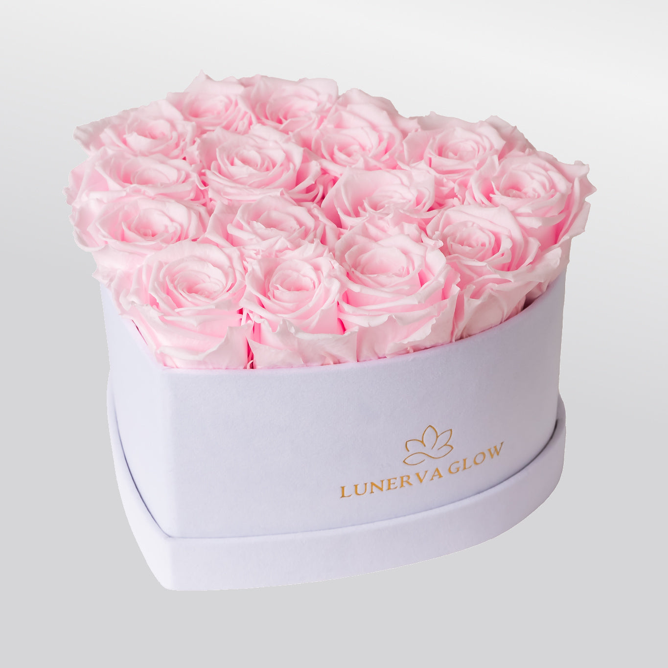 White Velvet Heartbox |White|M
