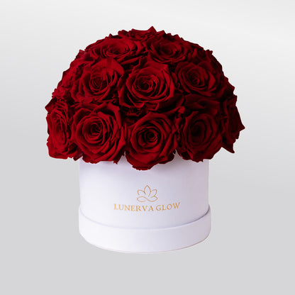 White Velvet Mushroom |White