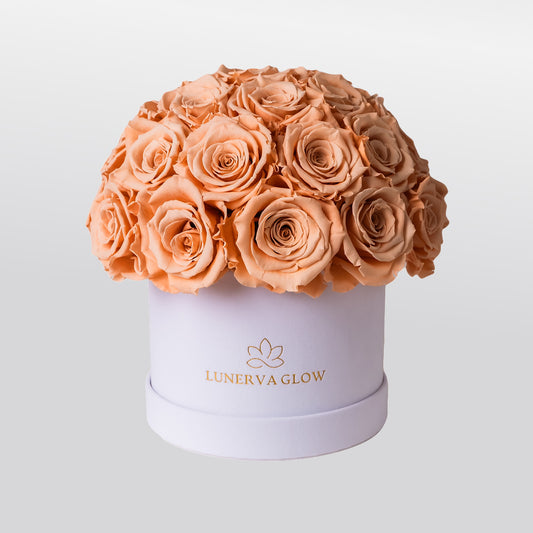 Infinity Blumenbox Rund aus Samt mit Peach Rosen in Pilzform | LUNERVA GLOW
