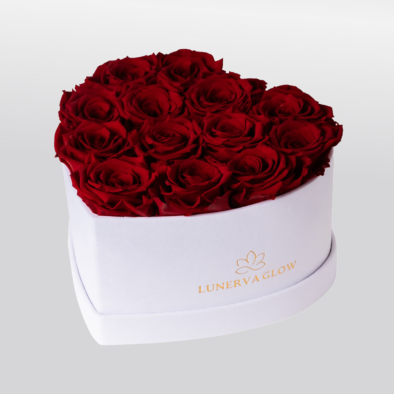 White Velvet Heartbox |Peach|M
