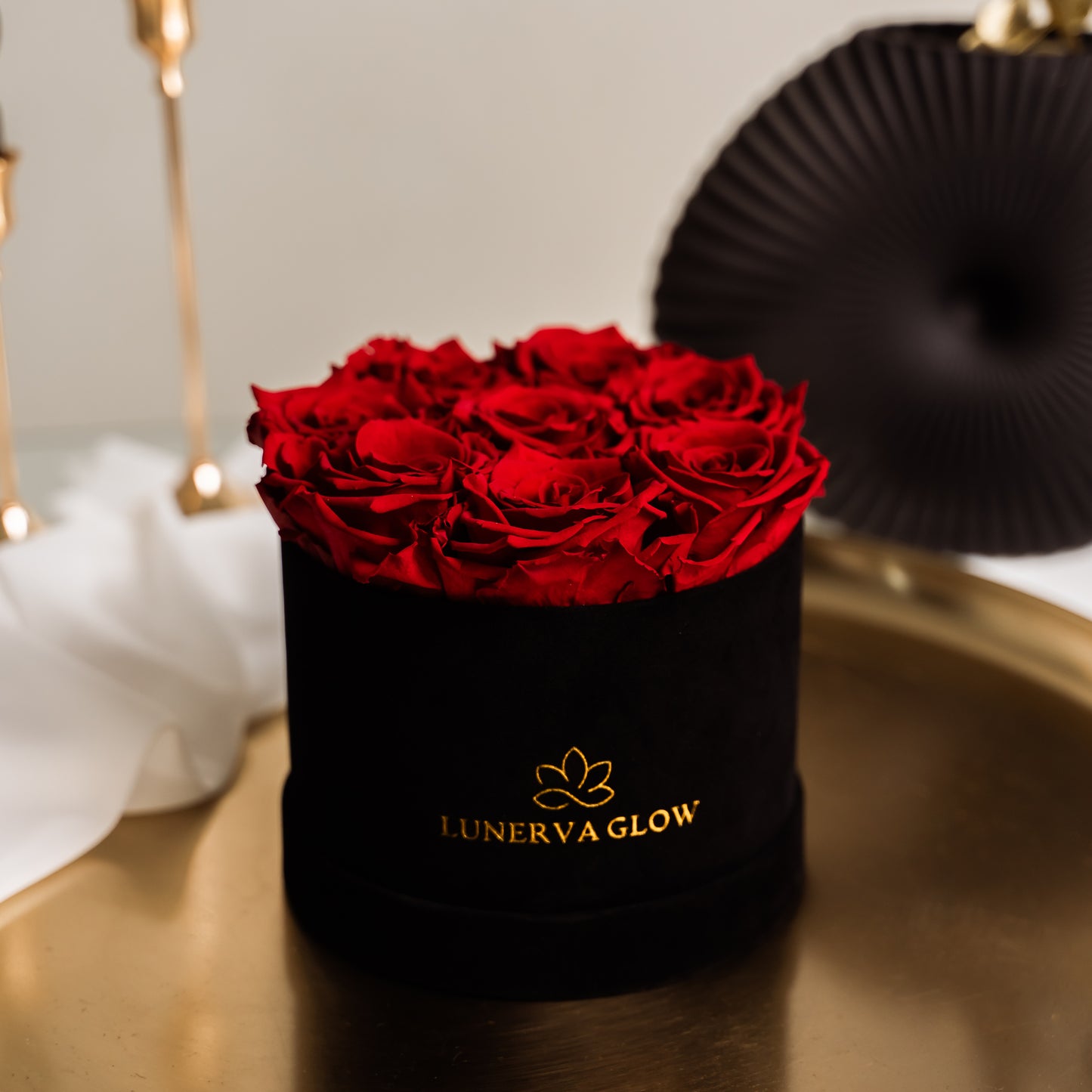Black Velvet Flowerbox |Red|S