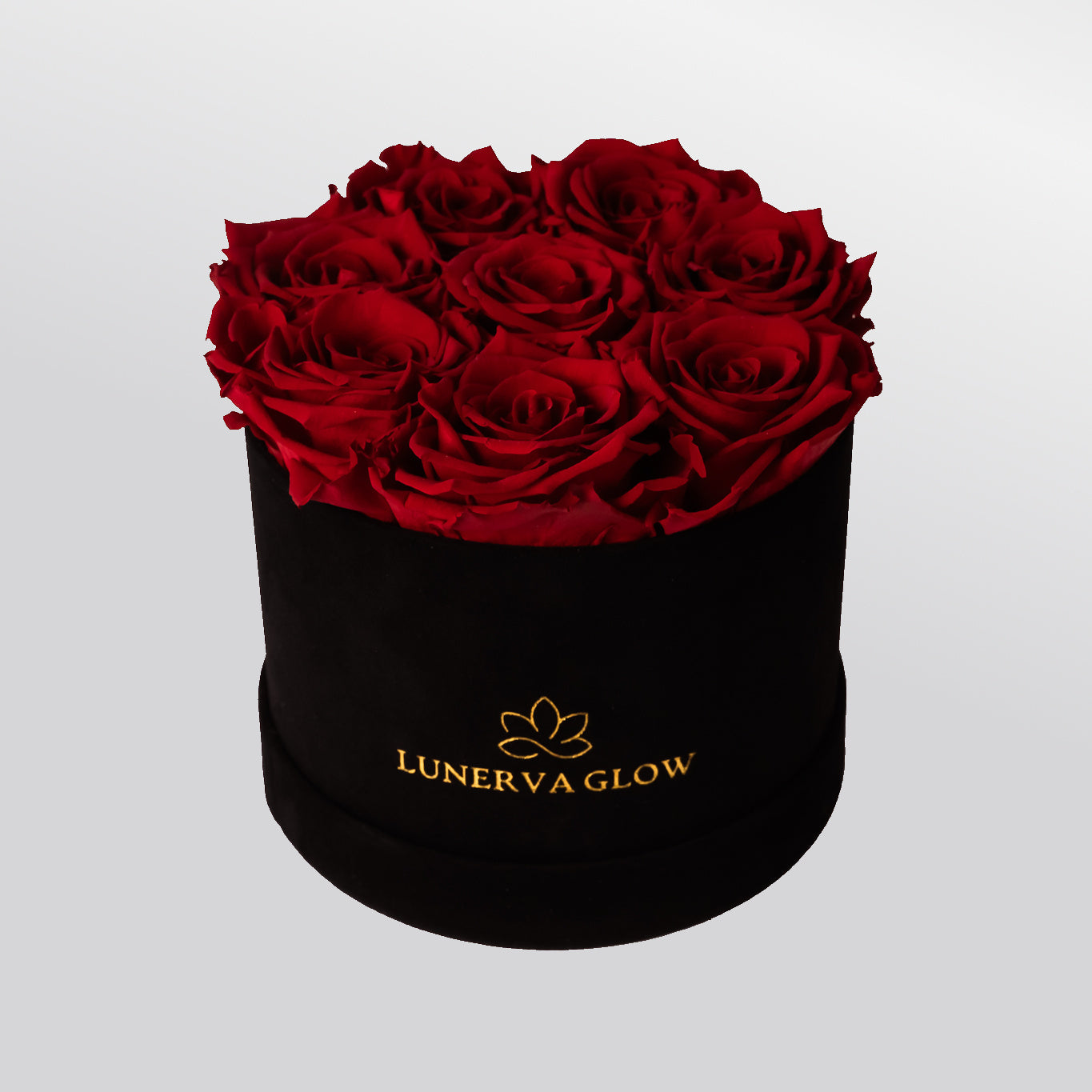Black Velvet Flowerbox |White|S