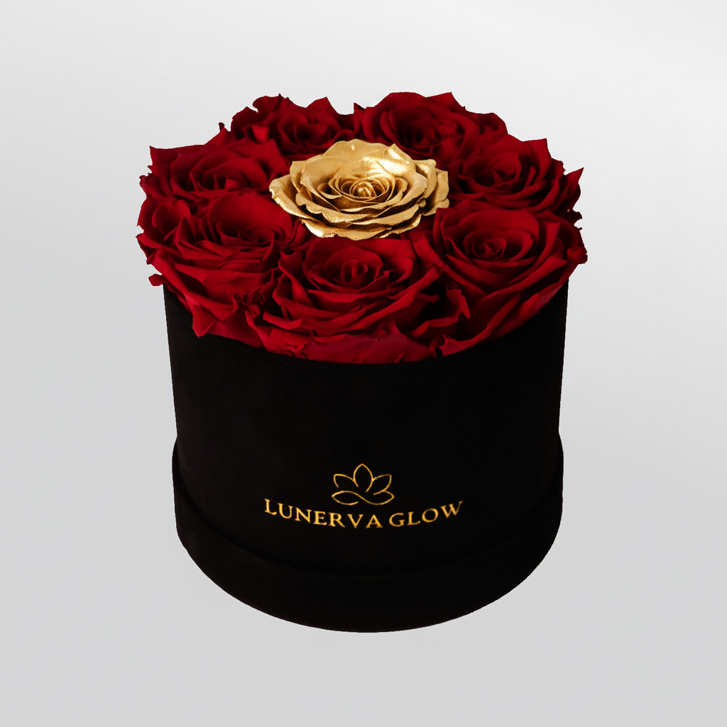 Black Velvet Round Flowerbox Mix