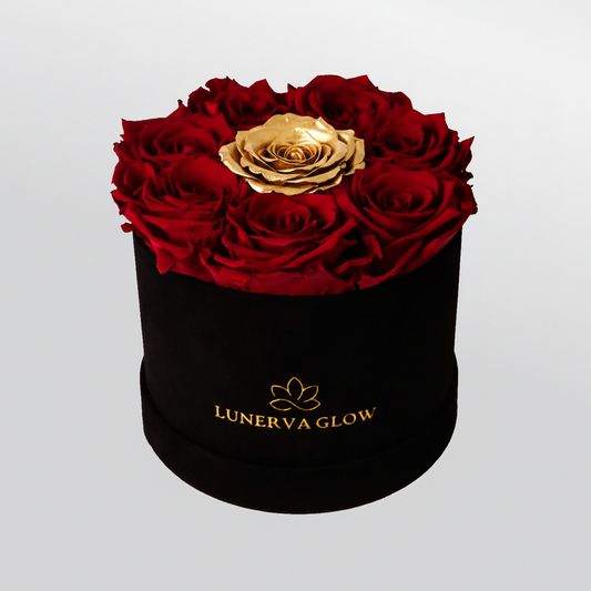 Black Velvet Round Flowerbox Mix