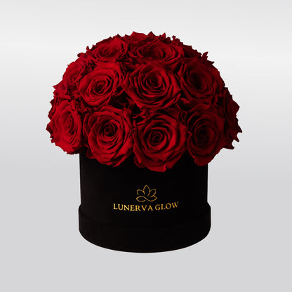 Infinity Flowerbox aus Samt mit Rote Rosen in Pilzform |LUNERVA GLOW 