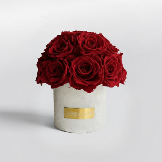 Gray Solid Beton Vase XS| Royal Red