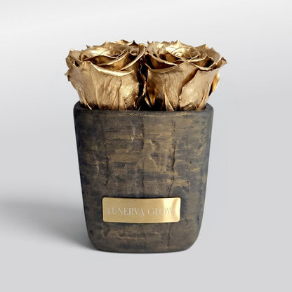 Square Vase Gold/Black| White