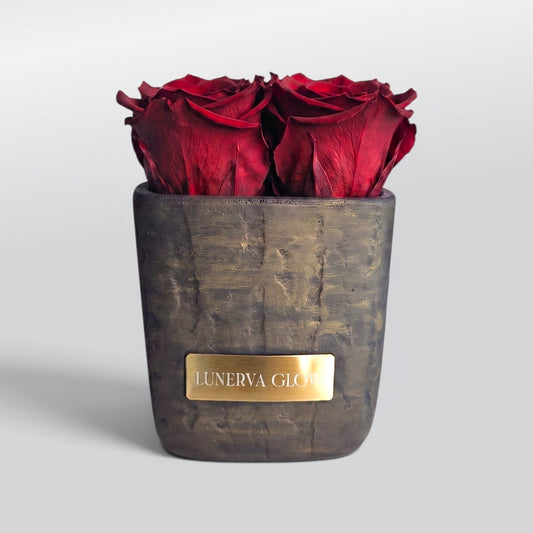 Classic Glas Vase Round with preserved Roses – LUNERVA GLOW