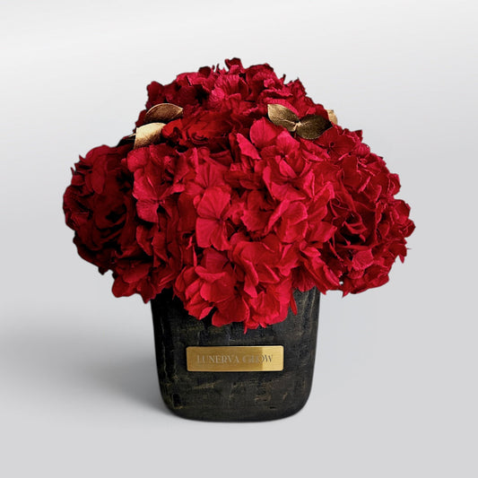 Square Hydrangea Mix S|Royal Red