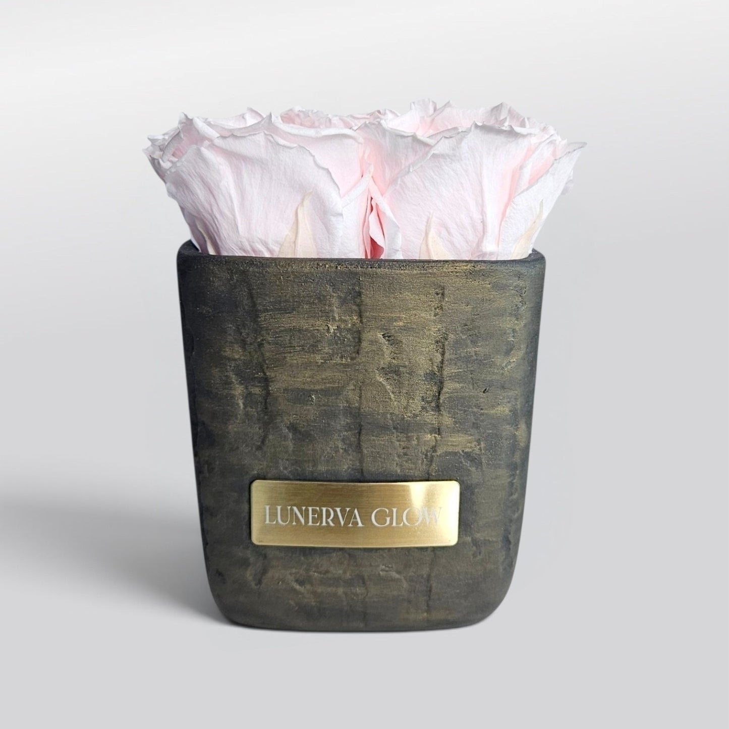 Square Vase Gold/Black| White
