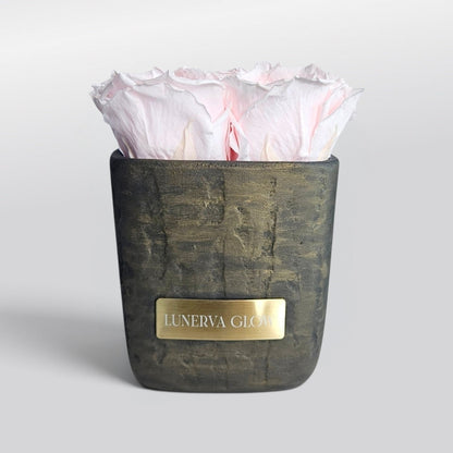 Square Vase Gold/Black| White