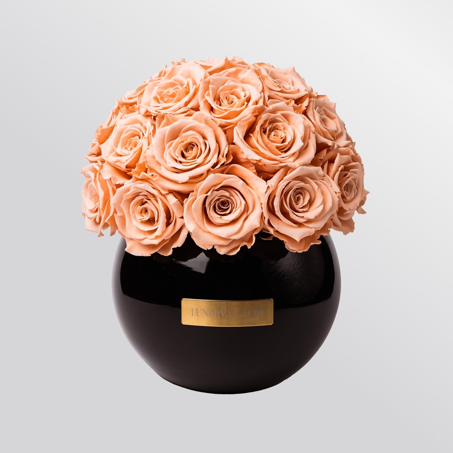Black Glass Vase |White|M
