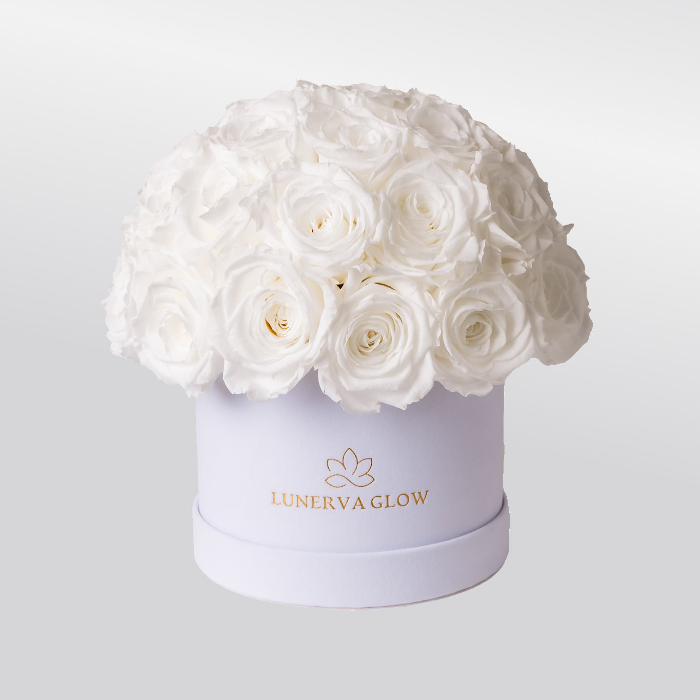 White Velvet Mushroom |Bridalpink|S