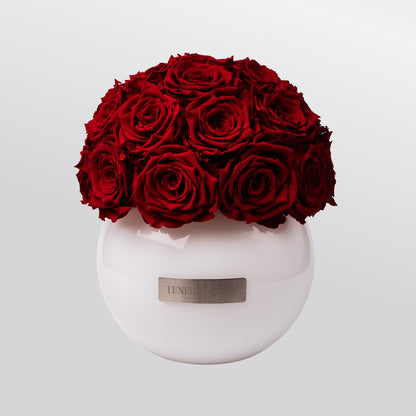 Rote konservierte Rosen Arrangement in weißer runden Glassvase. Elegante Dekoelement für jeden Raum |Lunerva Glow 