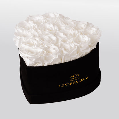 Black Velvet Heartbox |Gold