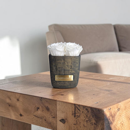 Square Vase Gold/Black| White