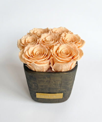 Square Vase Gold/Black| Peach