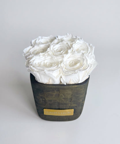 Square Vase Gold/Black| White