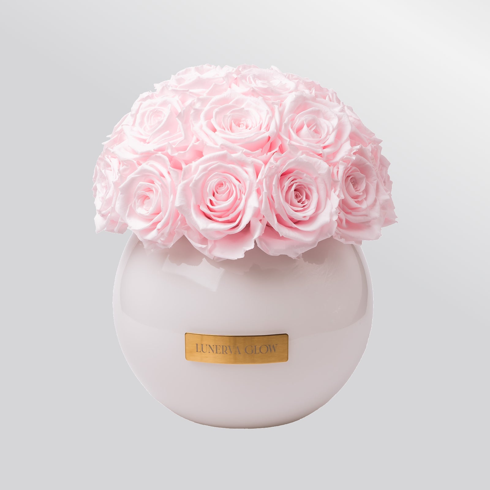 Glas Vase mit ewigen Rosen in Bridalpink |  Lunerva Glow