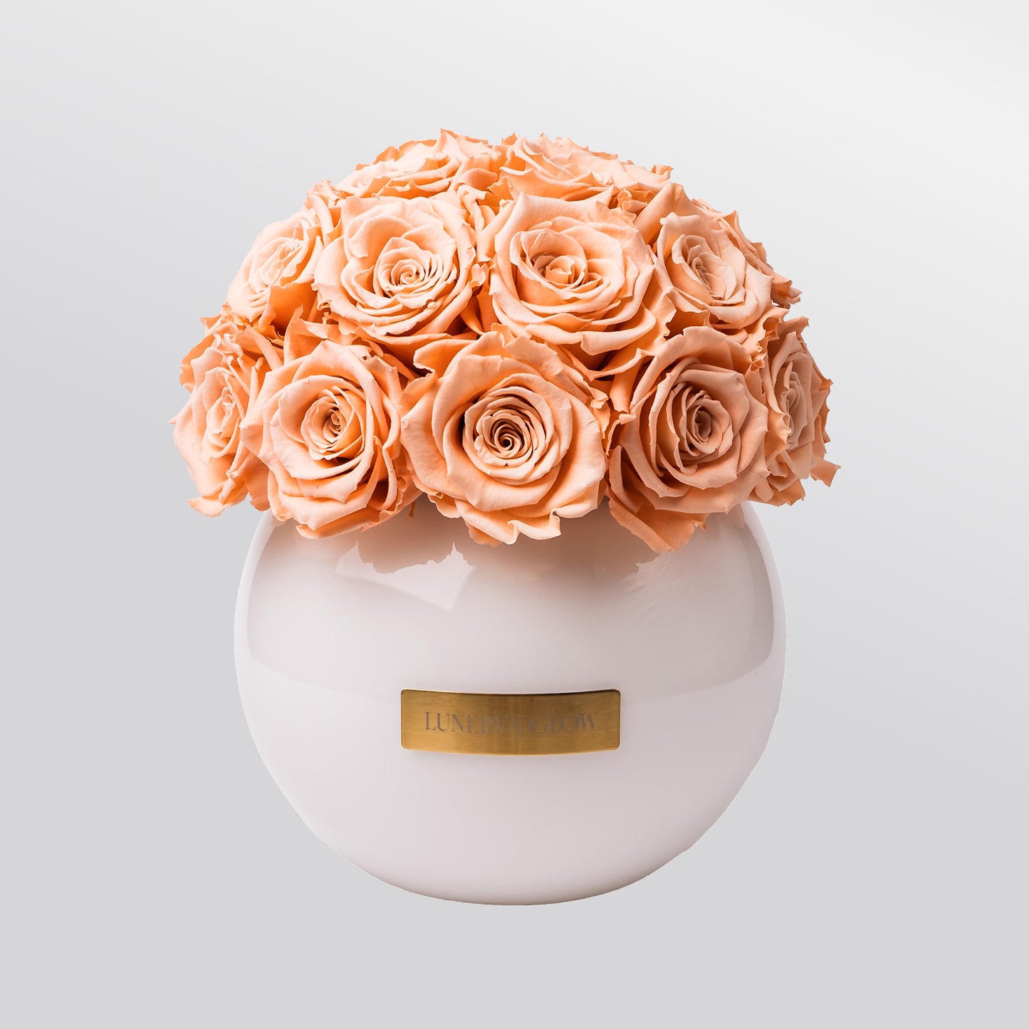 Infinity Rosen Vase | Lunerva Glow