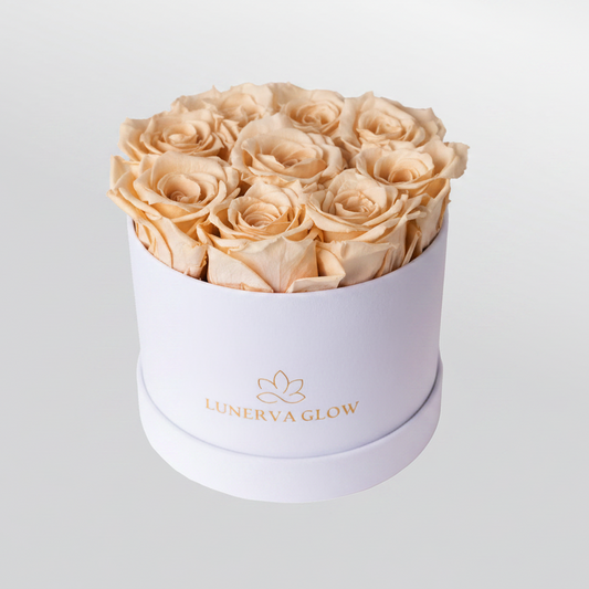 White Velvet Flowerbox |White|S