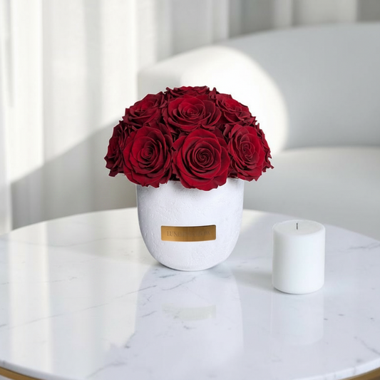 White Solid Vase | Royal Red